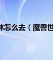 魔兽世界费伍德森林在哪-费伍德森林位置路线图