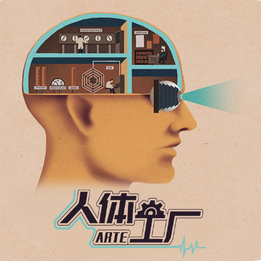 人体工厂手游汉化下载-人体工厂官方中文版下载