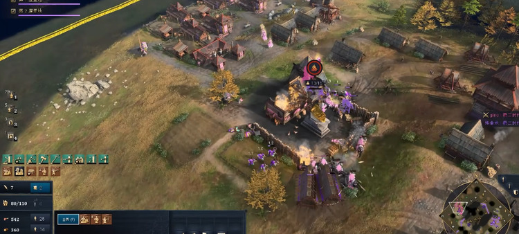 帝国时代4德里苏丹中期怎么玩