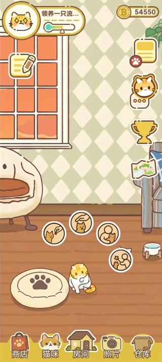 领养一只流浪猫手游安卓版下载-领养一只流浪猫手机版游戏下载