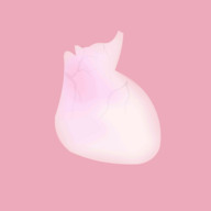 生命life中文设置教程 生命life中文怎么调