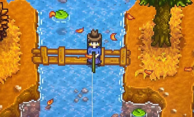 星露谷物语怎么钓到虾虎鱼