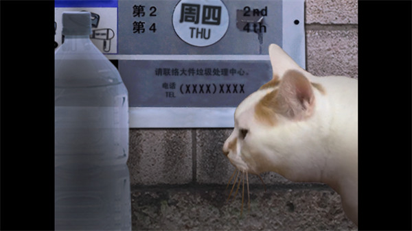 翌日猫之怪奇谭游戏官方版下载-翌日猫之怪奇谭安卓版下载