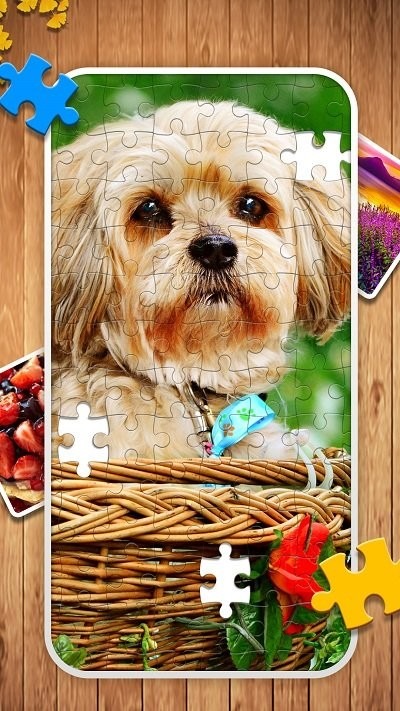 经典拼图游戏手机版下载安装-经典拼图游戏免费版下载