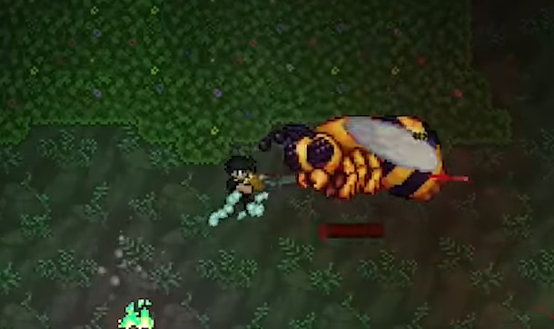 泰拉瑞亚复仇模式的蜂王怎么打