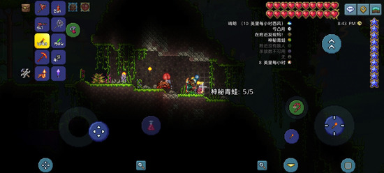 泰拉瑞亚神秘青蛙有什么用