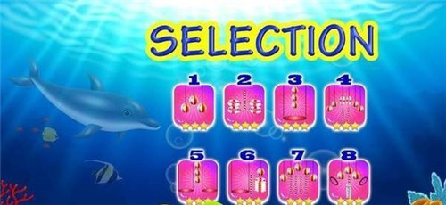 海豚水上表演手游