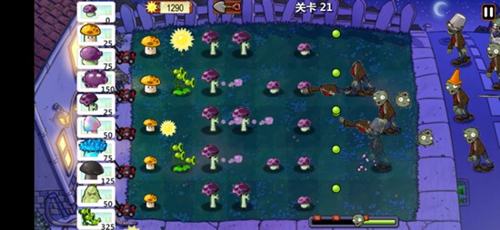 植物大作战安卓2023最新版免费下载-植物大作战最新版APP下载