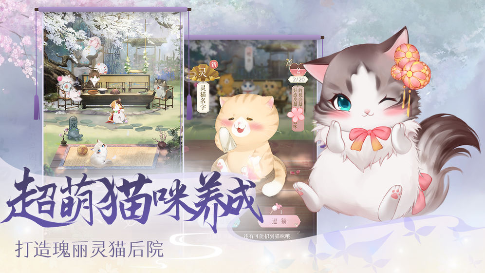 灵猫传测试服下载-灵猫传测试服最新安卓版下载