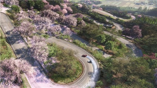 极限竞速地平线6怎么自动探索全部道路 极限竞速地平线6自动探索全部道路方法