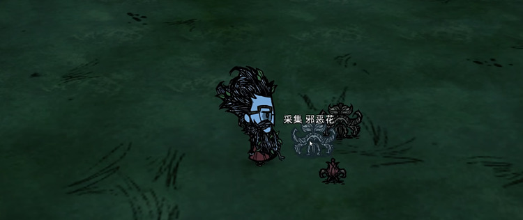 饥荒花有什么用 饥荒花用途是什么