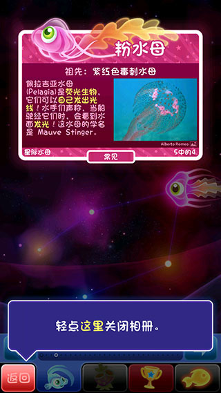 超级星鱼手游安卓版罕见鱼攻略图