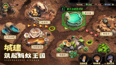 小小蚁国最新礼包兑换码汇总